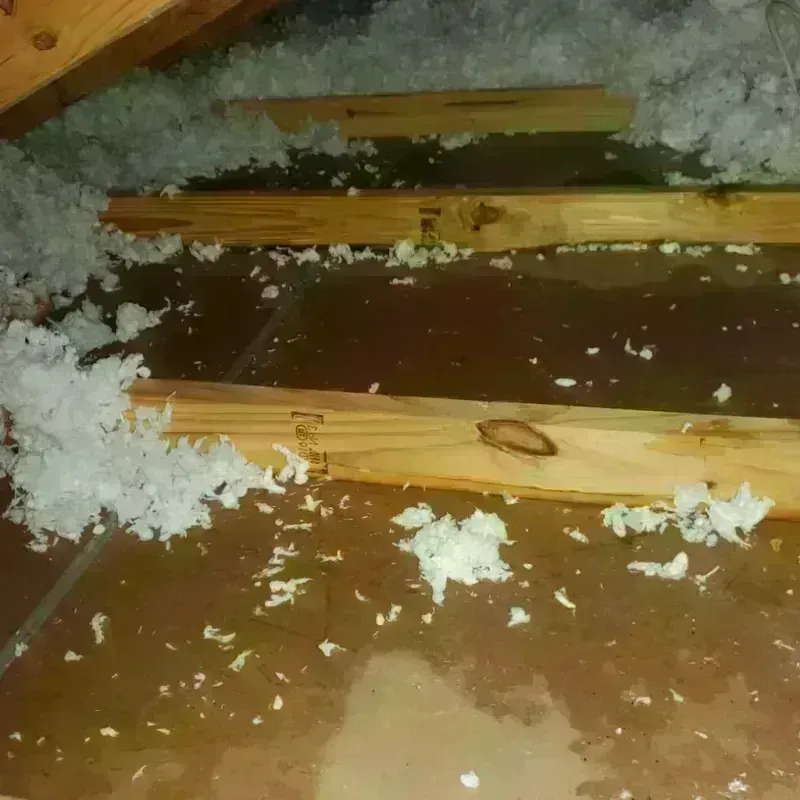 Attic Water Damage in Plano, IL