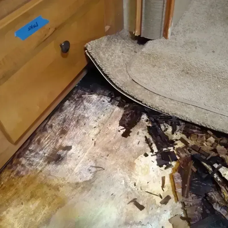 Best Wood Floor Water Damage Service in Plano, IL